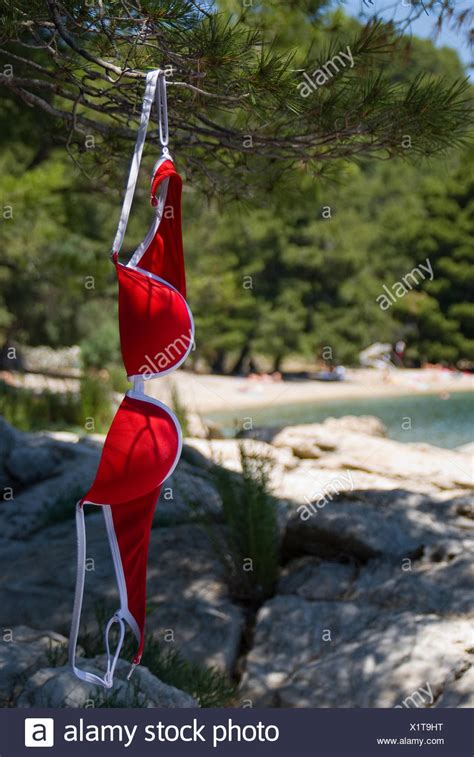 teens on a nude beach|278 Young Naturism Stock Photos and High.